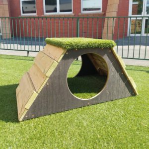 Mini Mound and Tunnel