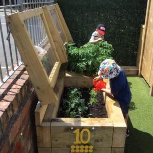 Cold Frame