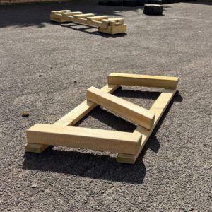 Zigzag Walk 1